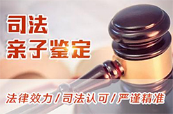 昆明司法DNA亲子鉴定收费明细(2025更新)
