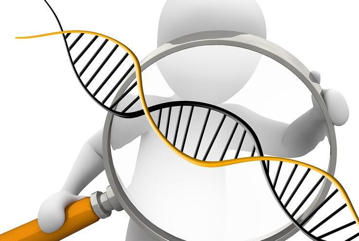昆明怀孕如何办理DNA亲子鉴定,昆明办理孕期亲子鉴定办理的流程